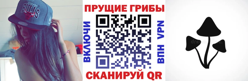 Псилоцибиновые грибы Psilocybe  гидра tor  Купино 